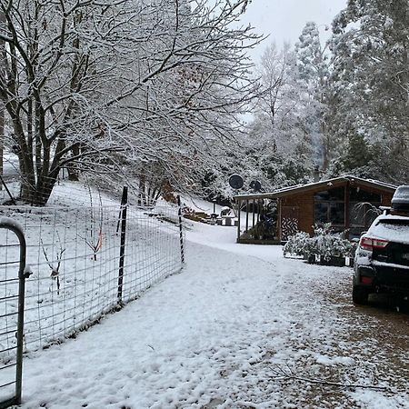 Alpine Ck Cabin And House Villa Merrijig Exterior photo